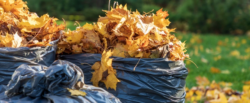 How to Dispose of Yard Waste?